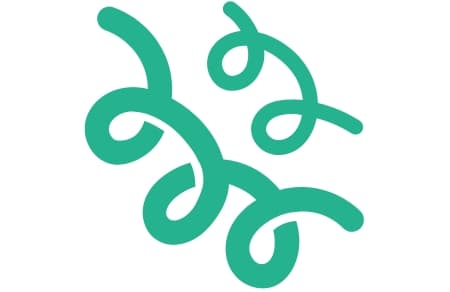 Kiła